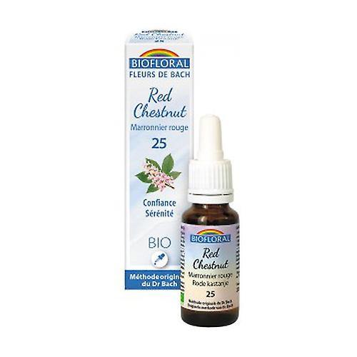 Biofloral Organic Red Chestnut 20 ml of floral elixir on Productcaster.