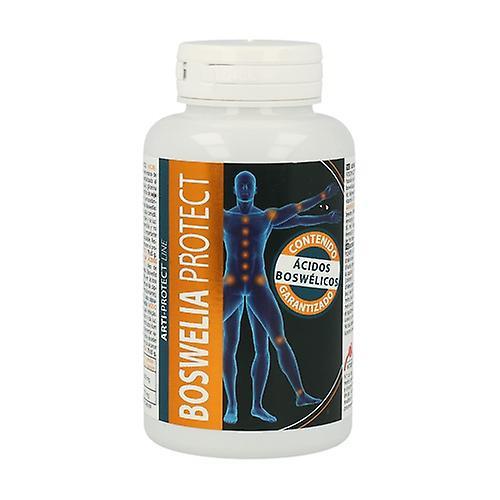 Intersa Boswelia Beskyt 45 softgels af 500mg on Productcaster.