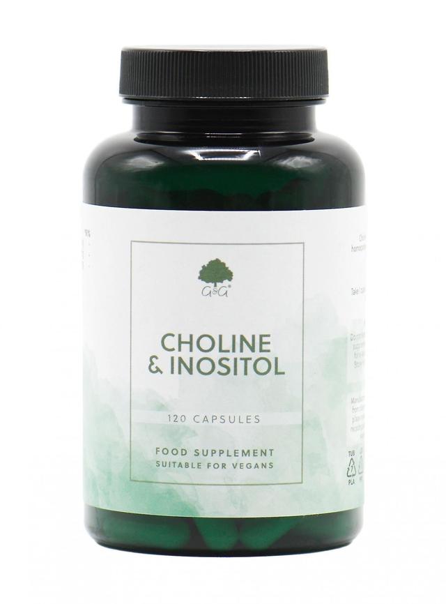 G&g vitamins choline & inositol 120's on Productcaster.