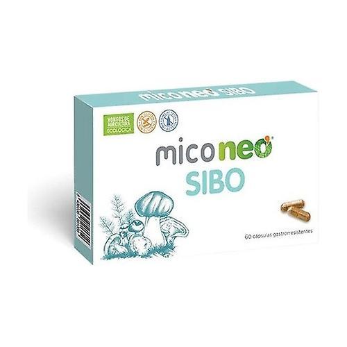 Mico neo sibo 60 capsules on Productcaster.