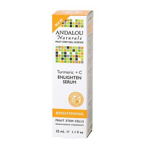 Andalou Naturals Enlighten Sérum, Curcuma éclaircissant Plus C, 1,1 oz (Paquet de 1) on Productcaster.