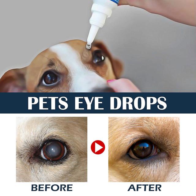 Drops For Advanced Lanosterol Therapeutic Eye Lubricating Drop For Dog & Cats | Improve Vision , Health & Dryness, Relief In Animals 10ml 3pcs on Productcaster.