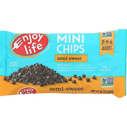 Enjoy Life Geniet van het leven Choc Chip Wf Gf Df Semiswt, case van 12 X 10 Oz (Pack van 1) on Productcaster.