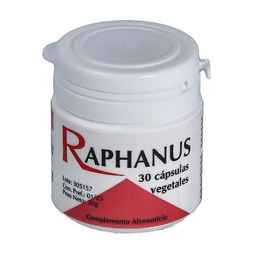 Codival Raphanus immune system 30 capsules of 1500mg on Productcaster.