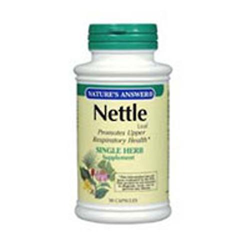 Nature's Answer Nettle Leaf, 90 Caps (Pack of 3) on Productcaster.