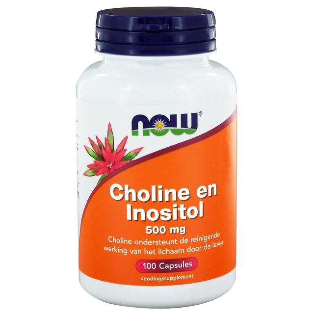 Choline en Inositol 500 mg (100 caps) - NOW Foods on Productcaster.