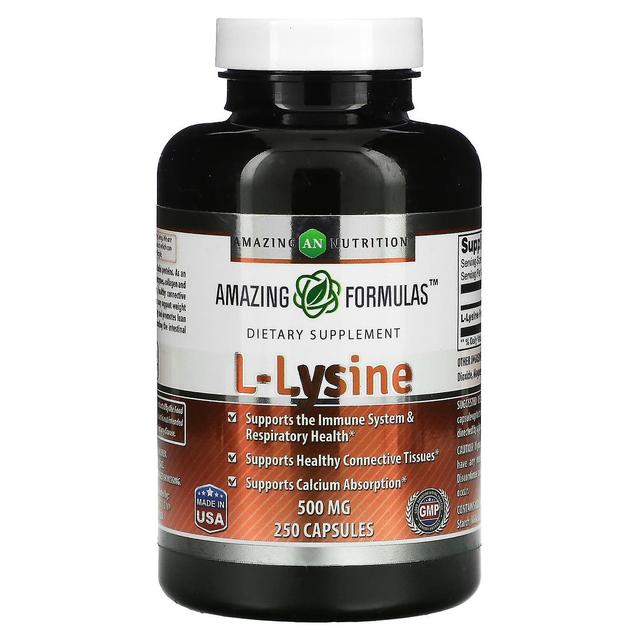 amazing nutrition Fantastisk näring, L-lysin, 500 mg, 250 kapslar on Productcaster.