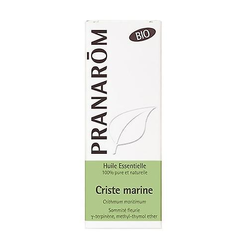 Pranarôm Marine Fennikel æterisk olie 5 ml æterisk olie on Productcaster.