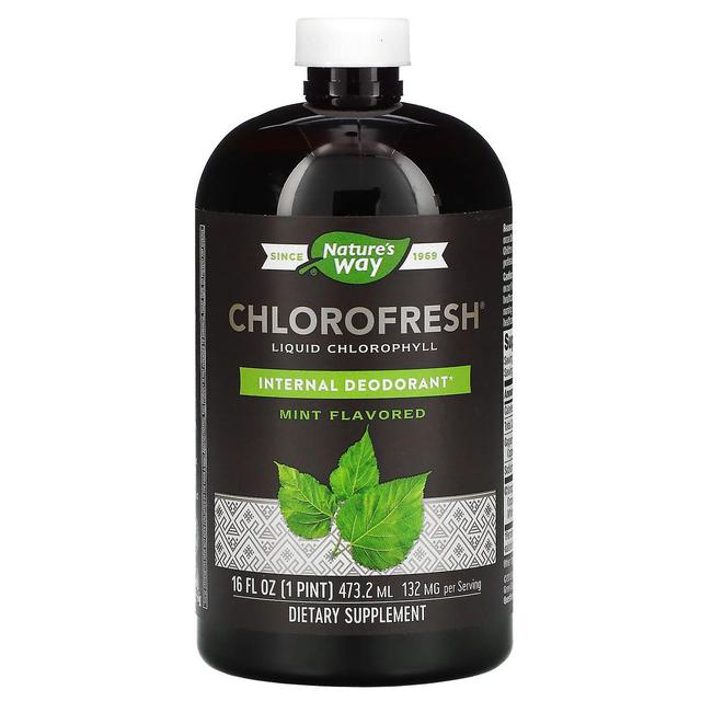 Nature's Way Naturens vej, Chlorofresh, Flydende klorofyl, Mynte, 132 mg, 16 fl oz (473,2 ml) on Productcaster.