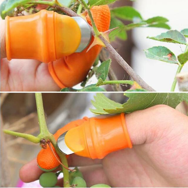 Farm Vegetable Fruit Picker Pickle Pepper Pickle Tip Picker Iron Nail Pick Grape Picker For Garden Orchard And Vegetable Patch S on Productcaster.