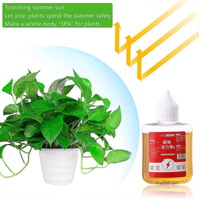 Szcxdz Plant Growth Enhancer Supplement,improve Surviving Rate,promote Photosynthesis,50ml on Productcaster.