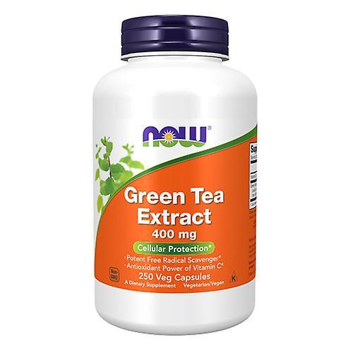 Extracto de té verde de Now Foods, 400 mg, 250 cápsulas (paquete de 2) on Productcaster.