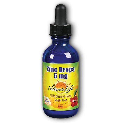 Nature's Life Liquid Zinc Drops, 2 oz (Pack of 1) on Productcaster.