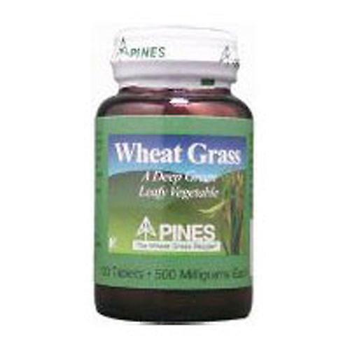 Pines Wheat Grass Pinien Weizen Gras Weizengras,500 MG,100 Tabs (4er-Packung) on Productcaster.