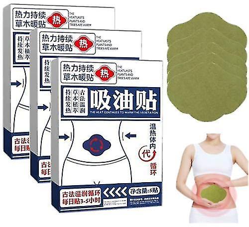 Wormwood Oil Absorption Slimming Paste 2pcs on Productcaster.