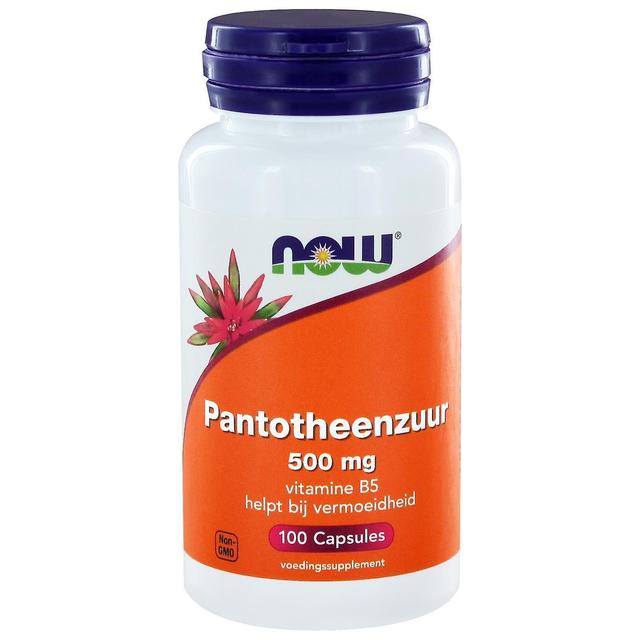 NOW Foods Pantotheenzuur 500 mg (B5) (100 mössor)-nu livsmedel on Productcaster.