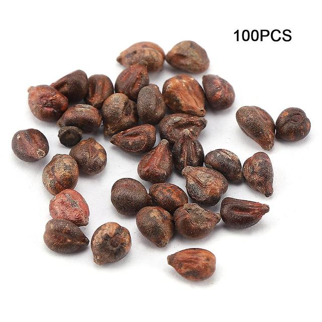 Gegong 5pack Sweet Grape Seeds Delicious Natural Growth Fruit Miniature Grape on Productcaster.