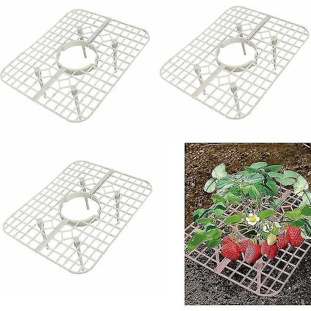 10 Pack Strawberry Supports Strawberry Growing Frame Strawberry Plant Support Keep Fruit Elevated To Prevent Soil Rot on Productcaster.