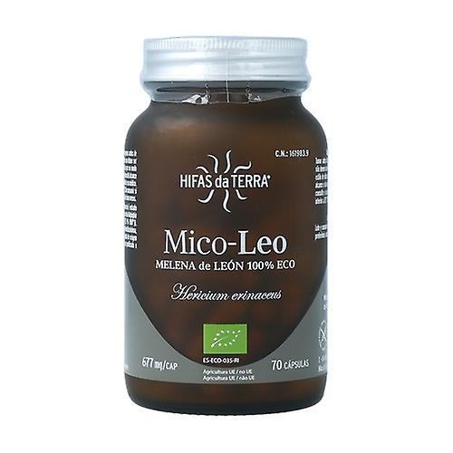 Hifas Da Terra Mico-Leo (Levia hriva) 70 kapsúl po 677 mg on Productcaster.