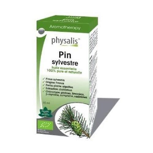 Physalis Wild Pine Essence Bio 10 ml on Productcaster.