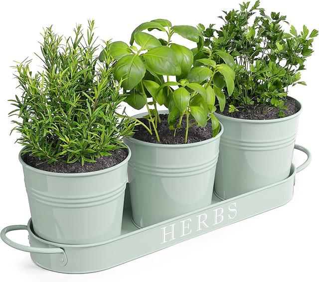 Hgbd-barnyard Designs Farmhouse Herb Garden Planter Indoor Planter Set con bandeja o jardinera de ventana de apartamento al aire libre, caja de jar... on Productcaster.