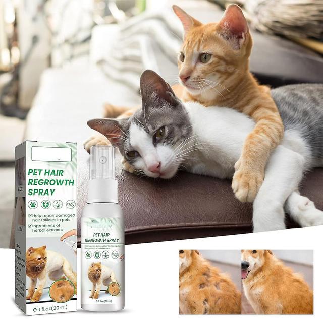 Snxijv Pet Hair Growth Supplements, Pet Hair Regrowth Supplements, Natural Ingredients Faster Hair Regrowth Due To Surgery Or Illness 3pcs on Productcaster.