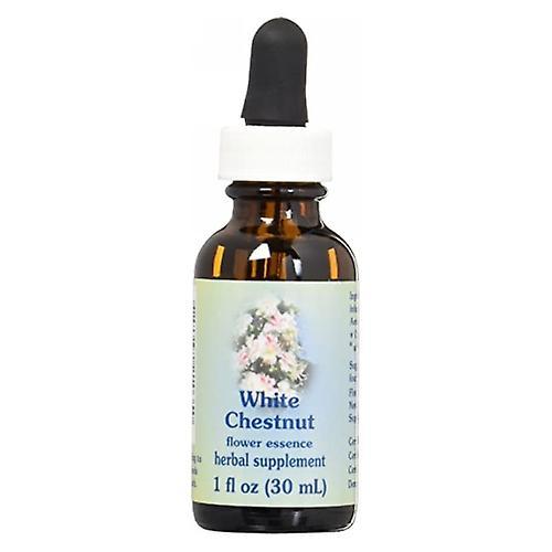 Flower Essence Services White Chestnut Dropper, 1 oz (Pack of 4) on Productcaster.