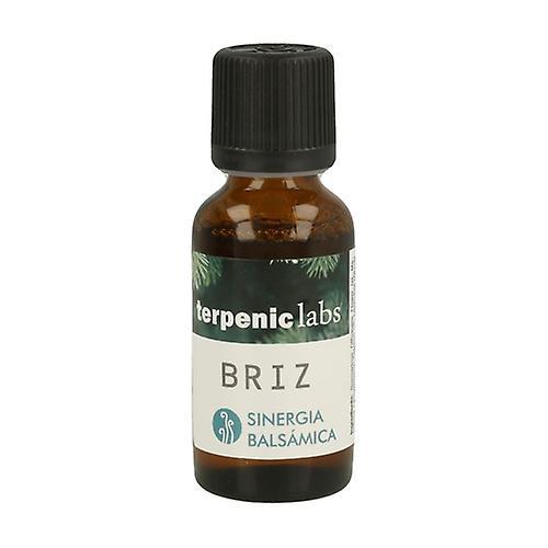 Terpenic Respiratory Synergy Briz 30 ml of oil (Eucalyptus - Mint - Lavender) on Productcaster.