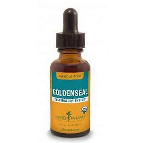 Herb Pharm Goldenseal Glycerite, 1 Oz (Pack of 1) on Productcaster.