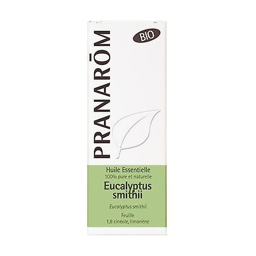 Pranarôm Eucalyptus Smithii Leaf Essential Oil 10 ml of essential oil (Eucalyptus) on Productcaster.