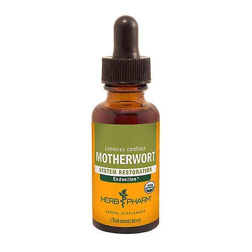 Herb Pharm Motherwort Extract, 1 Oz (Pack of 3) on Productcaster.