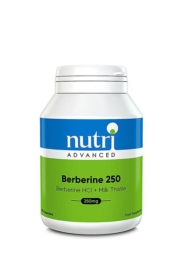 Nutri advanced berberine 250 120's on Productcaster.