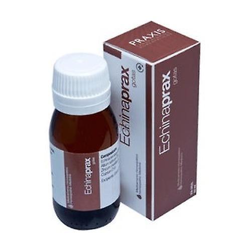 Praxis Echinaprax respiratory tract 60 ml on Productcaster.