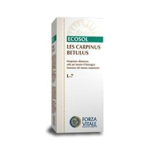 Forza Vitale LES Carpinus Betullus 50 ml on Productcaster.