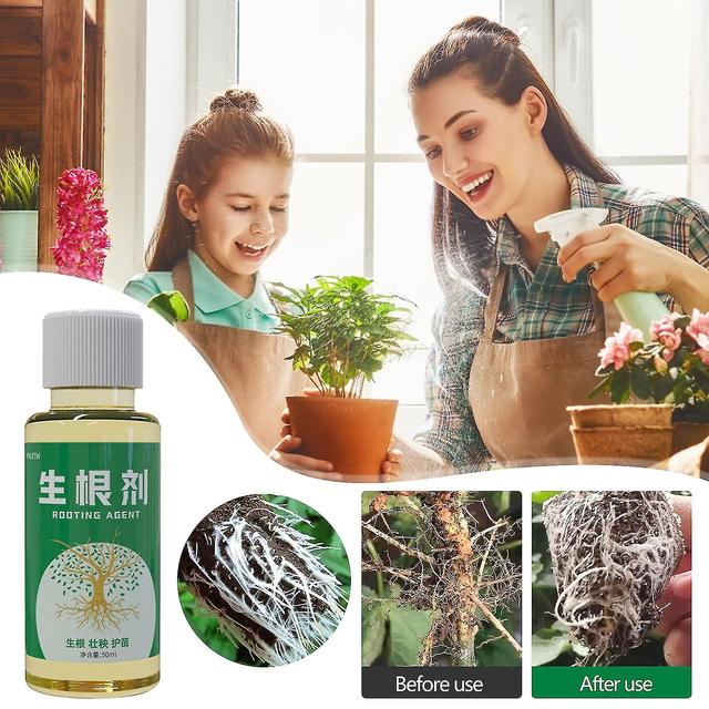 50ml Fast Rooting Liquid Strong Seedling Powder Plant Universal Nutrient Solution Succulent Green Radish Flower Cutting Strong Rooting Powder 2pcs on Productcaster.