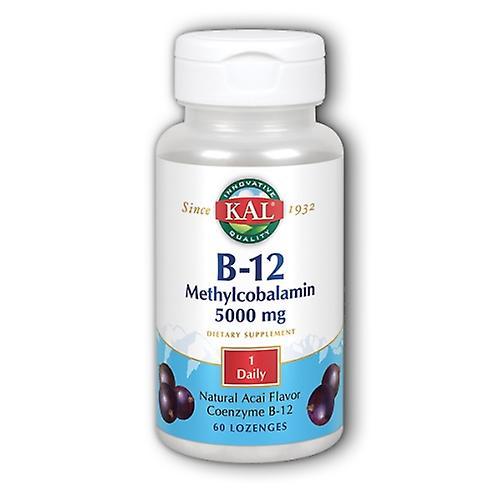 Kal B-12 Methylcobalamin,5,000 mcg,60 Lozenges (Pack of 1) on Productcaster.