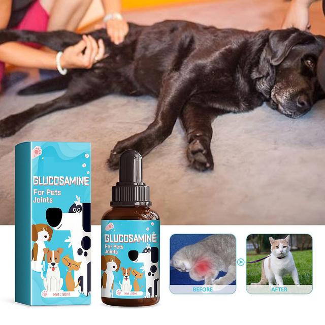 Ofocase Glucosamine Drop For Pets Joints, Relieve Pet Sore Bones And Joints Discomfort Drop, Cat And Dog Body Care 50ml-1pcs on Productcaster.