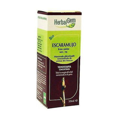 Herbalgem Glycerinovaná macerovaná šípka 50 ml on Productcaster.