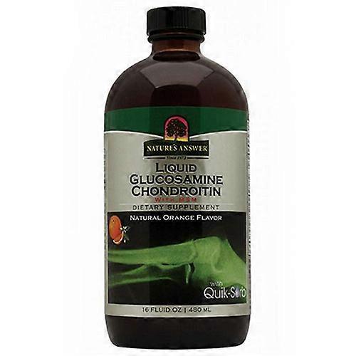 Nature's Answer Liquid Glucosamine & Chondroitin, 16 oz (Pack of 1) on Productcaster.