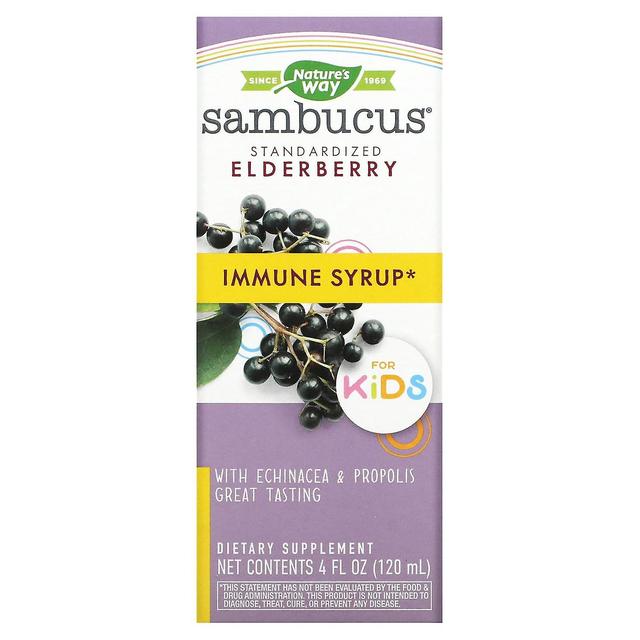 Nature's Way, Sambucus for Kids, Standardized Elderberry, Immune Syrup, 4 fl oz (120 ml) on Productcaster.