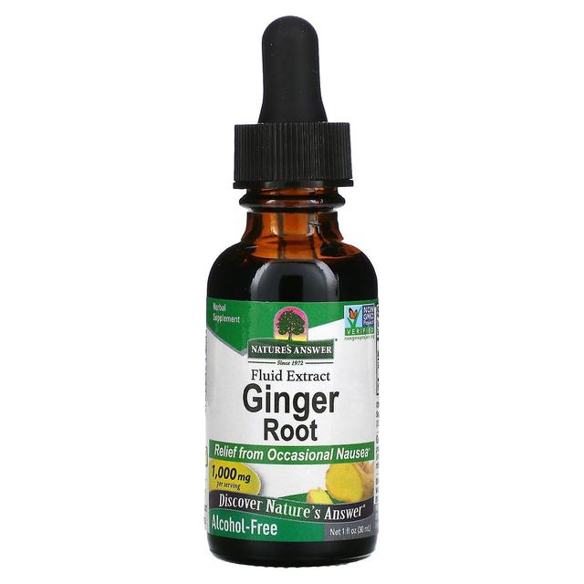 Nature's Answer, Ginger Root, Fluid Extract, Alcohol-Free, 1,000 mg, 1 fl oz (30 ml) on Productcaster.