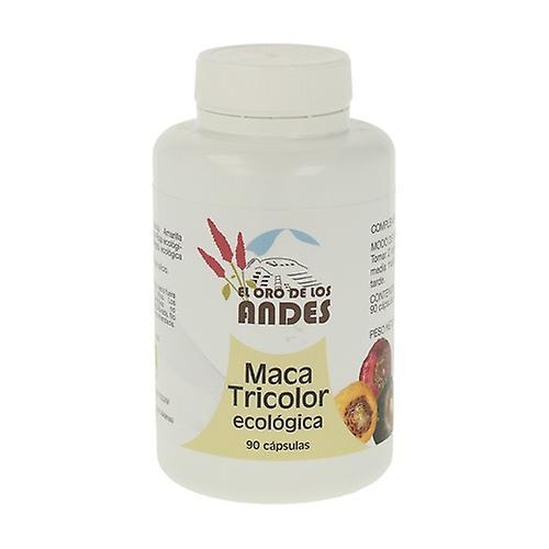 El Oro de los Andes Tricolor Maca 90 capsules on Productcaster.