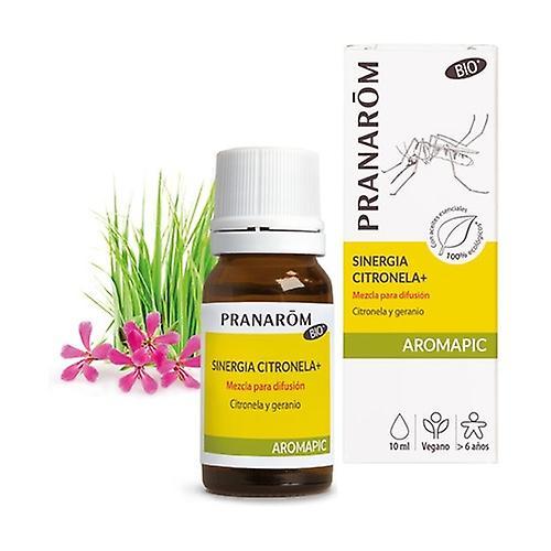 Pranarôm Synergi Citronella + Bio 10 ml (Eukalyptus - Citron - Lavendel - Ingefær) on Productcaster.