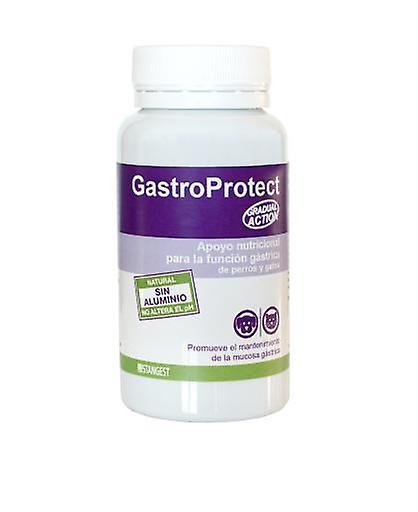 Stangest Gradual Action Antioxidant Gastroprotect Blister For Dogs And Cats 96 Tablets 100 gr on Productcaster.