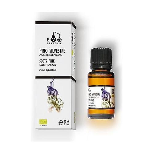 Terpenic Luonnonvaraisen männyn eteerinen öljy 10 ml eteeristä öljyä (tuoksumetsät) on Productcaster.