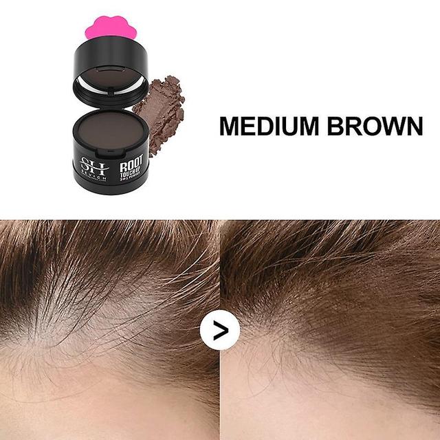 Flye Powder Shadow Powder Covering Hair Repair Powder Sweat Filling Forehead Mud Replenishing Powder FLY1706 B on Productcaster.