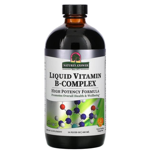 Nature's Answer Resposta da Natureza, Complexo Líquido de Vitamina B, Tangerina de Grande Sabor, 16 fl oz (480 ml) on Productcaster.