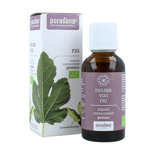 Purasana Fig tree 50 ml on Productcaster.