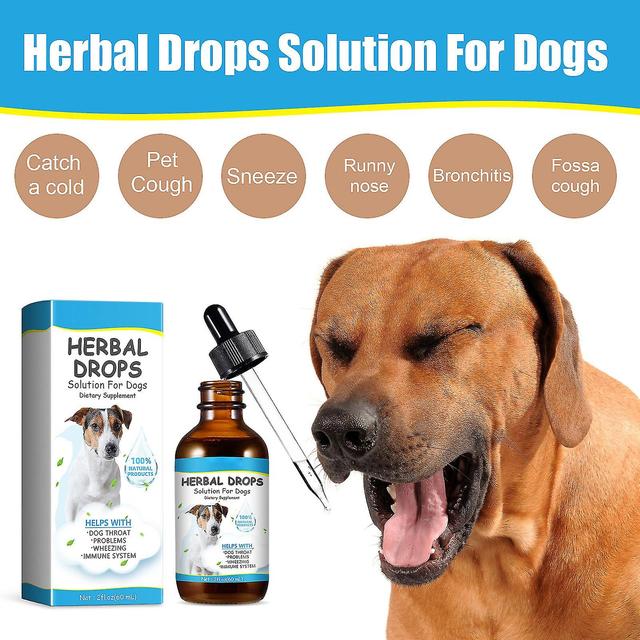 Cough Herbal Drops For Dogs Cats, Natural Cough Supplement Cough Treatment Drops Smoothing Throat Discomfort Respiratory 5pcs - 300ml on Productcaster.