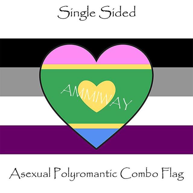 Ederfun Setiap Ukuran Aseksual Poliseksualitas Panromantic Feminin Maskulin Netral Hreat Lgbt Kebanggaan Pelangi Bendera Dan Spanduk jednostronne1 ... on Productcaster.